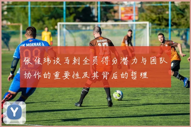 张佳玮谈马刺全员得分潜力与团队协作的重要性及其背后的哲理