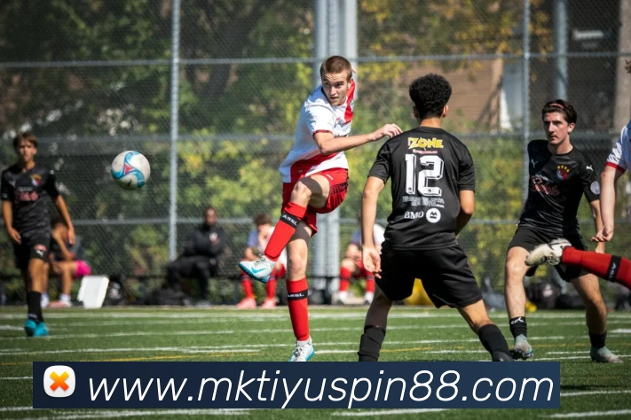 App Interface Preview