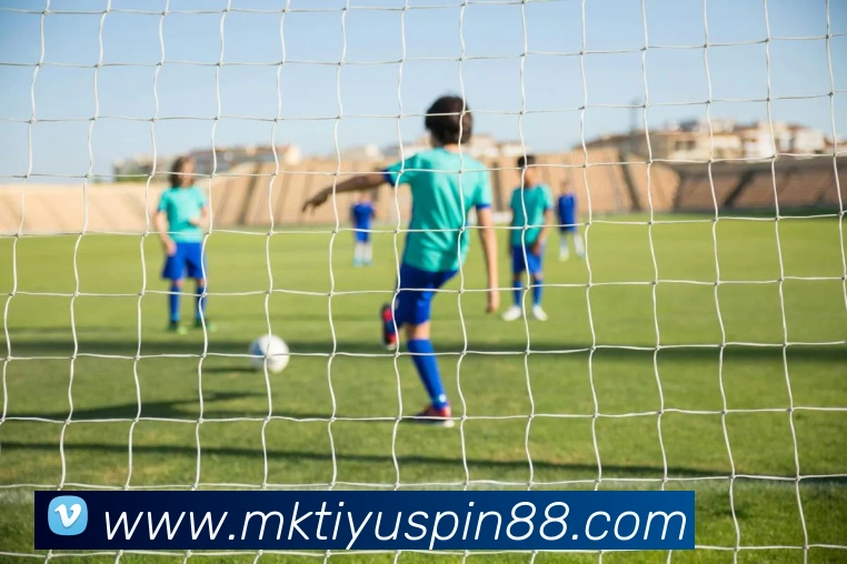 MK体育APP 封面图